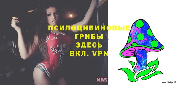 бошки Белокуриха