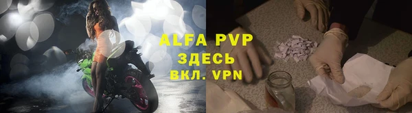 молекула духа Белоозёрский