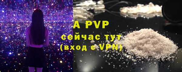 бошки Белокуриха