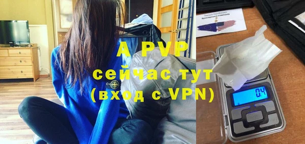 бошки Белокуриха
