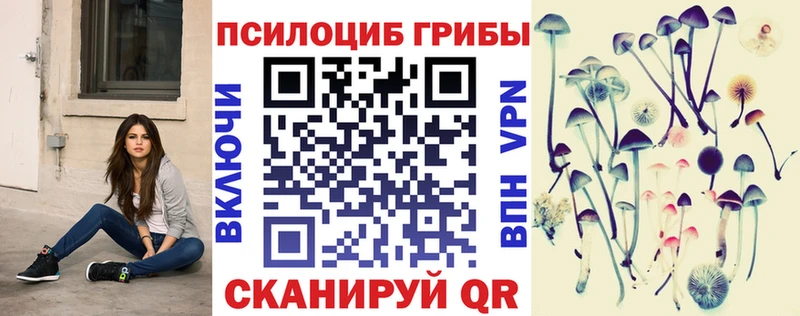 где можно купить наркотик  Тимашёвск  Псилоцибиновые грибы Psilocybine cubensis 
